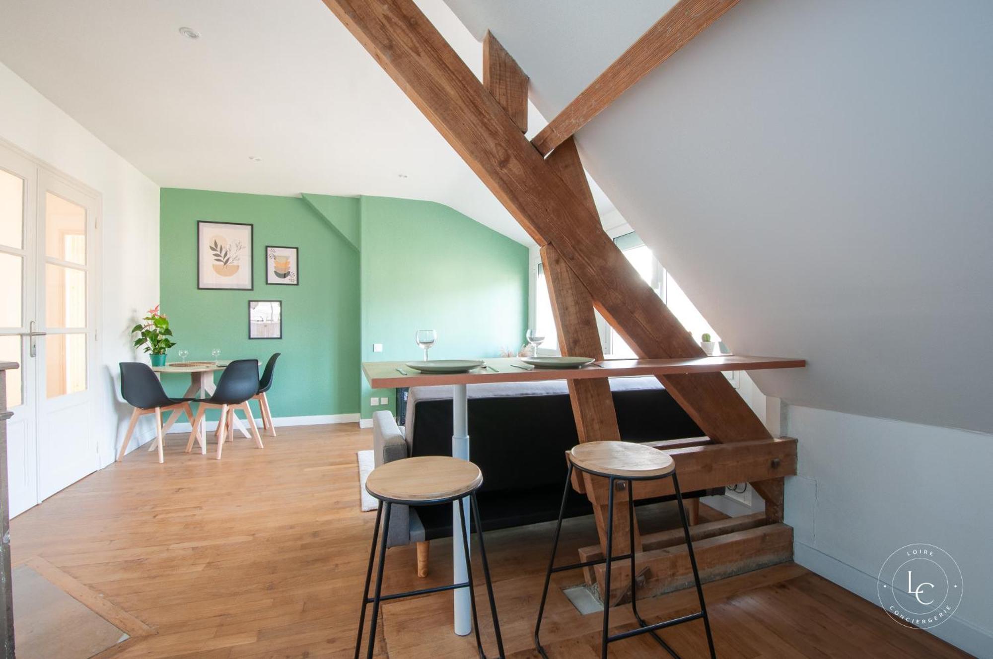 Appartement Lumineux T3 A Deux Pas Du Centre Et De La Loire - 70 M2