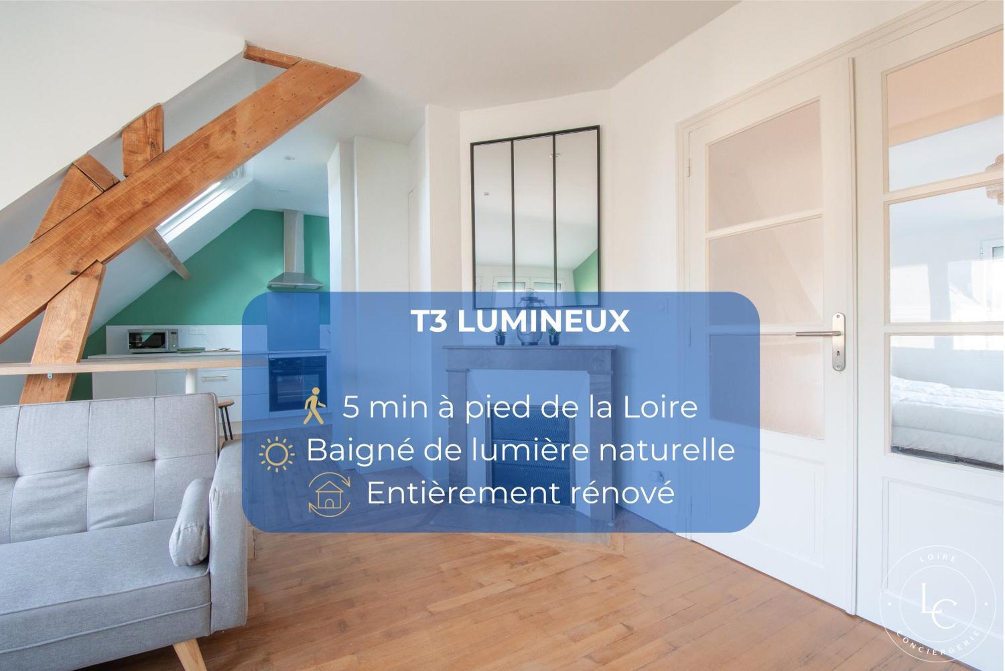 Lumineux T3 A Deux Pas Du Centre Et De La Loire - 70 M2 Appartement *