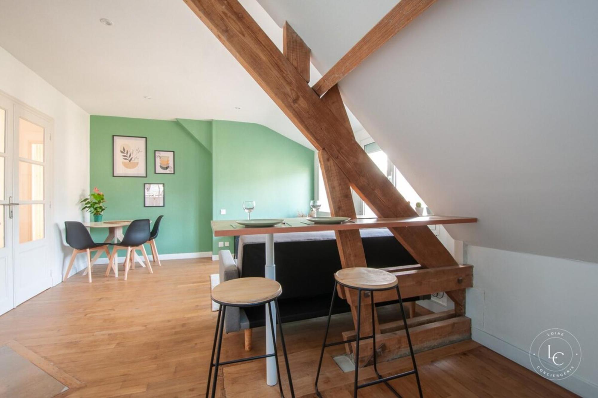 Bright 70m Near Center & The Loire * Orleans