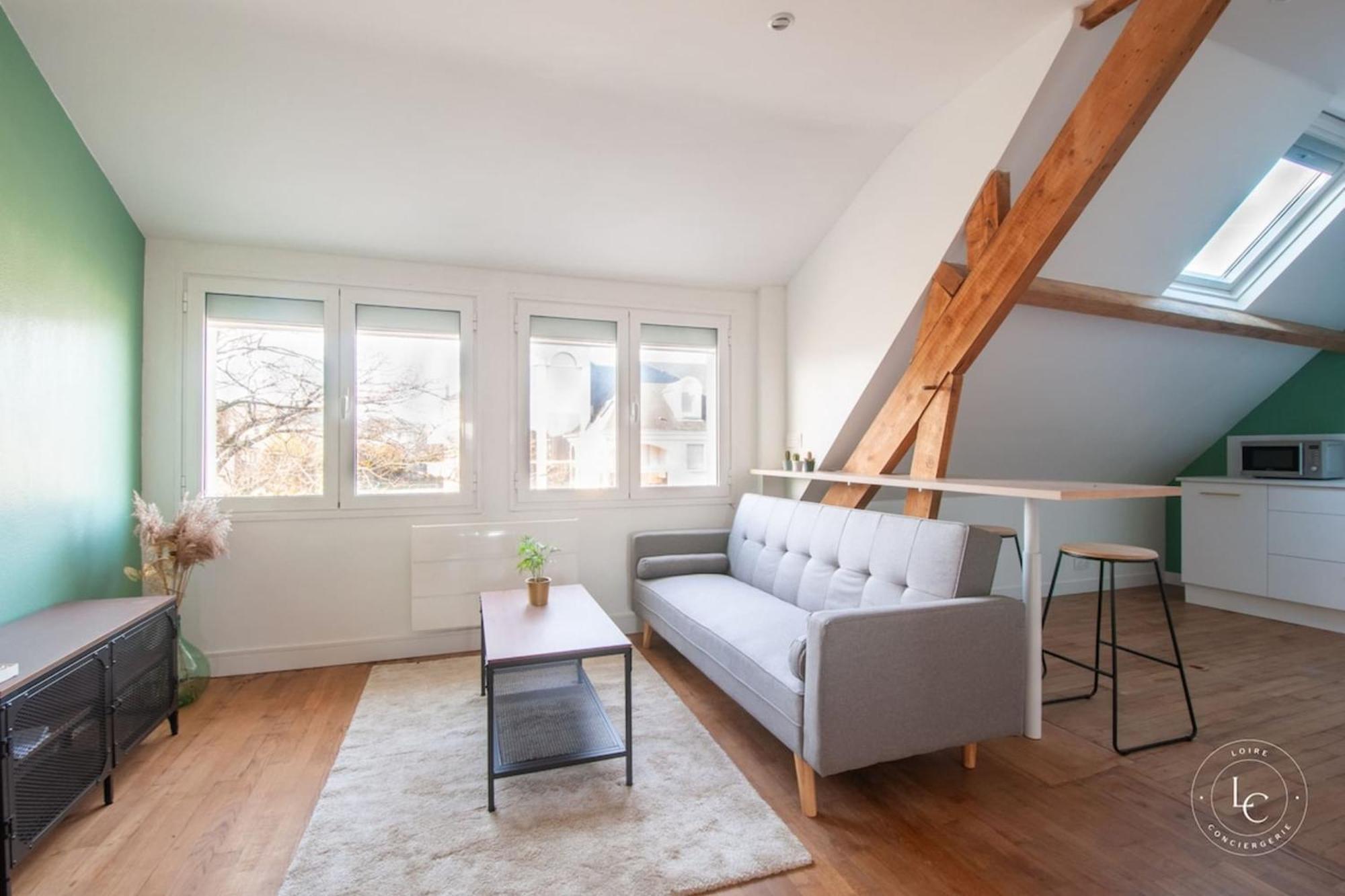 Bright 70m Near Center & The Loire Apartment *