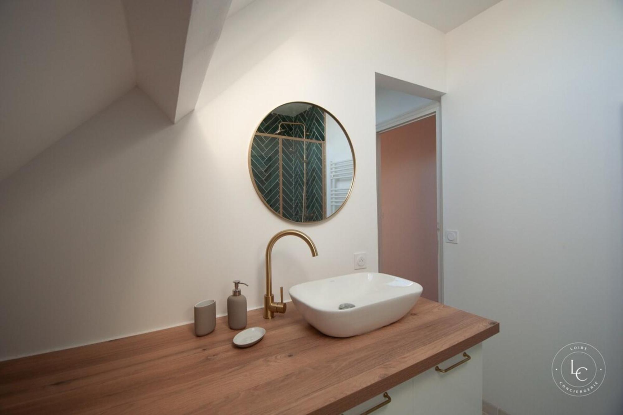 Apartment Bright 70m Near Center & The Loire Orleans
