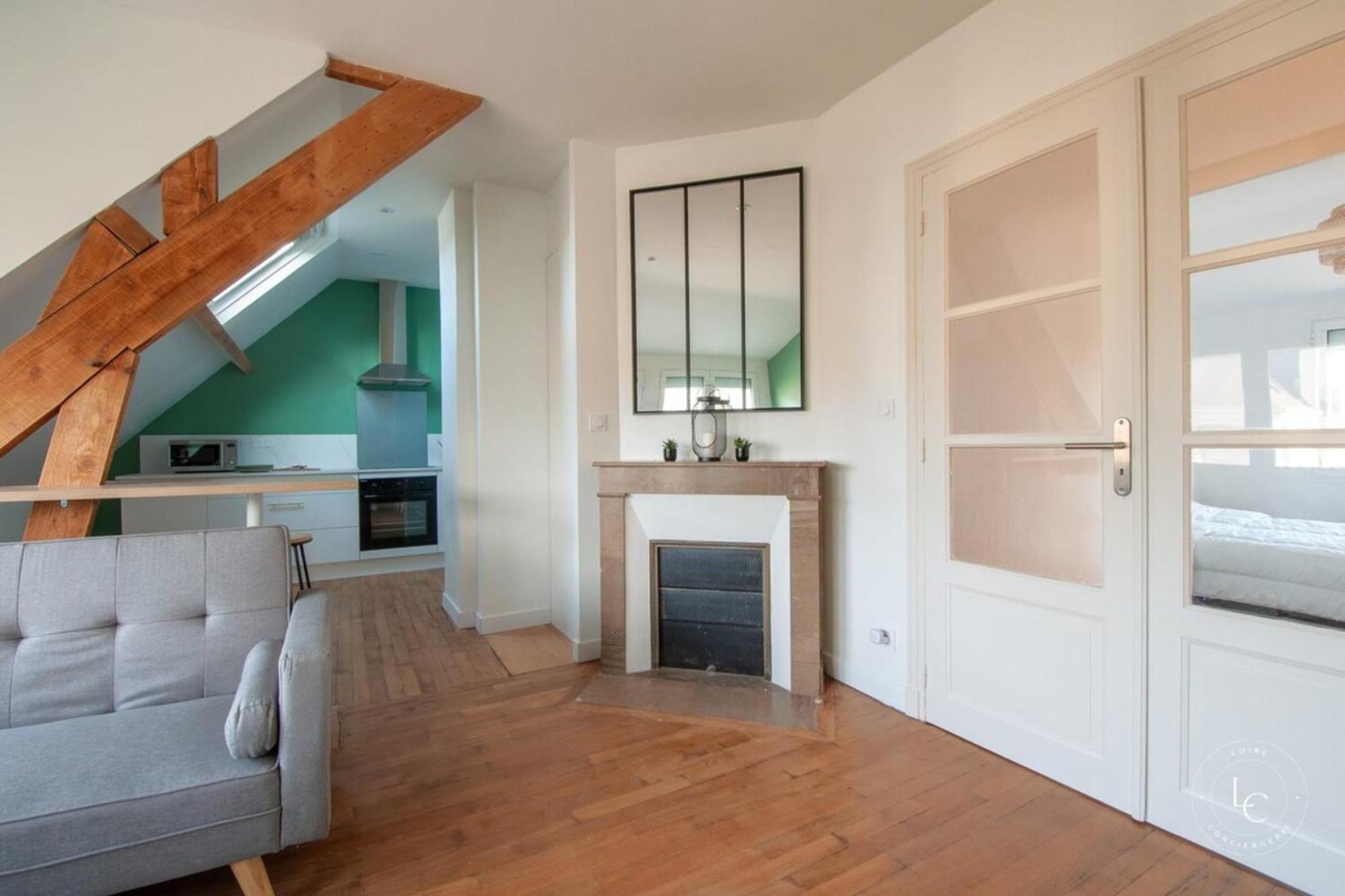 Bright 70m Near Center & The Loire Orleans